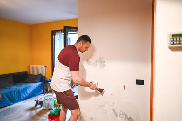 Best Bathroom Mold Remediation in Highwood, IL